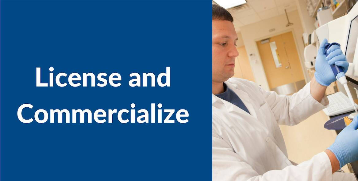 Step 5 License and Commercialize